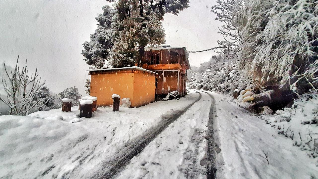 Tirthan Ecostay Gushaini Dış mekan fotoğraf